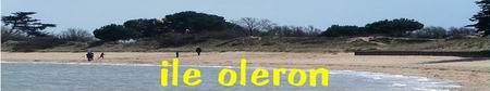 Visitez les tr�s beaux blogs de Fran�oise et Paul, sur l'ile d'Oleron, la faune et la flore ...superbes photos !