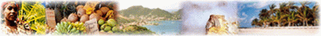 http://www.azureva.com/guadeloupe/index.php3