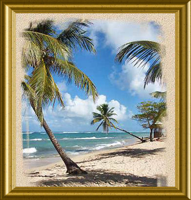 une plage de la Guadeloupe 