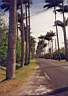la route vers basse terre