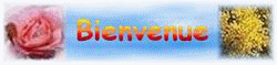 Bienvenue