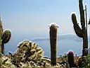 jardin botanique � eze