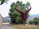 embl�me de la Bouverie ! "t�te de boeuf"