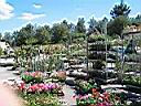 march� aux fleurs 