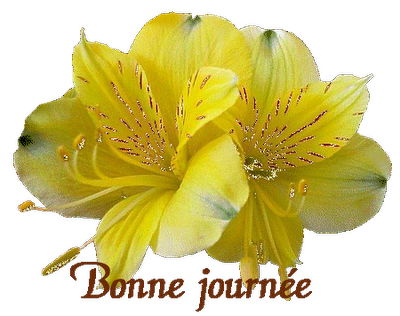merci � Rosie, notre petite cousine du Qu�bec !