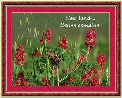 merci  � notre amie de Bourgogne !