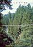 Pont capilano pr�s de Vancouver