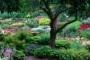 les jardins de M�tis 