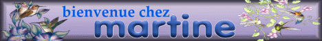 Chez Martine et sa petite chienne  Toffee, une jolie petite Yorkie...plein de cr�ations ! 