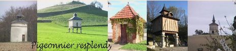 Tanette de belles photos de sa r�gion (le Tarn), et de  ses voyages !