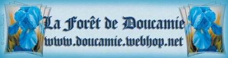 un beau parcours  sur les sentiers de la for�t de Doucamie