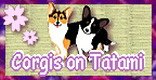 Florence, avec ses magnifiques corgis, Nana et Uyanga...au Japon !