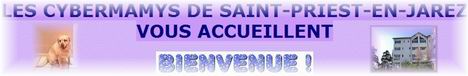 Lucie et les cybermamys de St Priest 