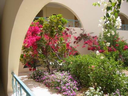 Jardin de notre hotel � Hurghada !