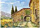 paysage de Provence