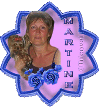 Top sites chez Martine