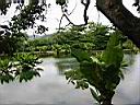 pi�ce d'eau au jardin du Val