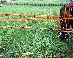 Contr�le de mauvaises herbes (�pandage d�herbicide) 