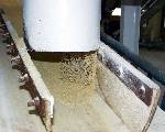 Les cristaux de Sucre sont r�cup�r�s du Centrifugeur