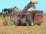 coupe � la machine 