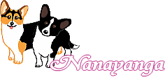 Nana (la rousse) et Uyanga (la noire) deux charmantes Corgis qui font la joie de notre amie Florence au Japon !