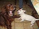 on s'amuse bien avec Briska, on joue � �tre m�chantes !!