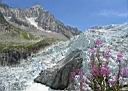 glacier d'Argenti�res...photo Christian Pourre 