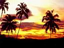 coucher de soleil au Sri Lanka