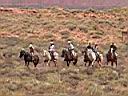 randonn�e � cheval ! photo XL