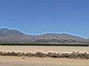 d�sert de Mojave vers Barstow