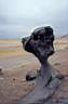 une curiosit� dans la vall�e de la mort 