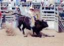 un rod�o � Lusk 