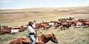 bandera texas le far west