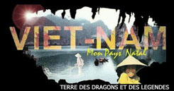 un tr�s beau site sur le Vietnam