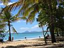 Plage des salines � la Martinique